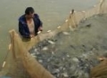 Quảng Trị: Hiệu quả mô hình nuôi cá truyền thống vùng miền núi