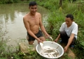 Sơn La phát triển mạnh nuôi cá theo mô hình VAC