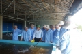 Phú Yên hợp tác lĩnh vực nông nghiệp công nghệ cao với Lâm Đồng