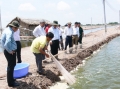 Xây dựng và phát triển chuỗi giá trị thủy sản