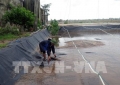 Người nuôi trồng thủy sản thiệt hại nặng sau bão số 10