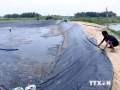 Thừa Thiên-Huế hợp tác với C.P Thái Lan về nuôi tôm sạch