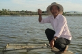 BR-VT: Người nuôi tôm Phước Thuận “đánh bạc” với trời