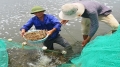 Khung lịch thời vụ thả giống nuôi trồng thủy sản năm 2018 tỉnh Hà Tĩnh