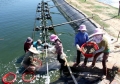 Nuôi trồng thủy sản năm 2013: Xây dựng và áp dụng phương pháp an toàn