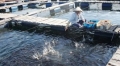Khánh Hòa rút kinh nghiệm vụ nuôi trồng thủy sản trái phép