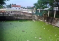 Hàng trăm người dân “ngộp thở” bên cảng cá ô nhiễm