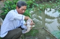 Ông Huỳnh Văn Sén: Làm giàu nhờ đa canh
