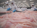 Nhiều nghị sỹ Mỹ tiếp tục yêu cầu hủy bỏ chương trình thanh tra cá da trơn của USDA