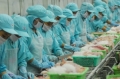 Mỹ: tăng nhập khẩu, giảm xuất khẩu thủy sản