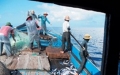 Phản đối Trung Quốc đơn phương cấm đánh bắt cá trên Biển Đông