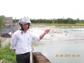 Ứng Hòa: Tận dụng lợi thế, phát triển nuôi trồng thủy sản