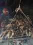 Cả đập nuôi cá hồi Sapa chết trắng: Nhiều vỏ thuốc sâu