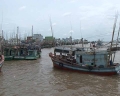 Quy chế quản lý cảng cá, khu neo đậu tránh trú bão có hiệu lực