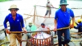 Áp thuế cá tra, cá basa Việt Nam: Một quyết định mâu thuẫn