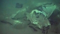 Phát hiện mồ chôn động vật biển khổng lồ