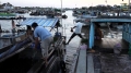 Tonle Sap ký sự: Bán cá theo khối
