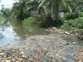 Ô nhiễm sông Sài Gòn ngày càng trầm trọng