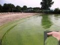 Nghiên cứu ứng dụng đất sét loại bỏ tảo