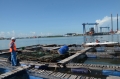 Bà Rịa Vũng Tàu: Hơn 60 bè nuôi thủy sản trái phép trên sông Dinh