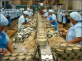 Tại sao Trung Quốc muốn kiểm soát sản xuất bột cá?