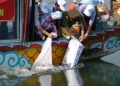 Thừa Thiên Huế: Thả 6,9 vạn con giống tái tạo nguồn lợi thủy sản