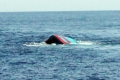 Hai tàu cá tỉnh Quảng Ngãi bị giông lốc đánh chìm