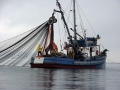 Mỹ quyết trấn áp nạn đánh bắt cá trái phép