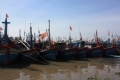 Ninh Thuận: 6 tháng khai thác trên 24.000 tấn thủy sản