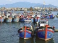 Nâng cấp đội tàu đánh bắt cá ngừ của Việt Nam