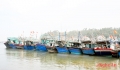 Quỳnh Lưu (Nghệ An): Khẳng định mũi nhọn kinh tế thủy sản