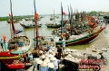 2 tháng, ngư dân Diễn Châu đánh bắt được 6000 tấn cá