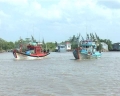 Ngọc Hiển: nhiều phương tiện khai thác đồng loạt ra khơi