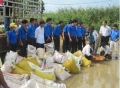 Đắk Lắk thả cá giống bổ sung, tái tạo nguồn lợi thủy sản trên sông, hồ