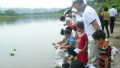 Thả 13.200 con cá giống nước ngọt xuống sông Đáy