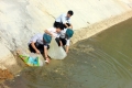 Đại Từ: Thả gần 20 nghìn con cá giống tại hồ Lưu Quang