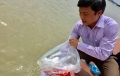 Hà Nội: Thả hơn 1 tấn cá phóng sinh tái tạo nguồn lợi thủy sản