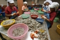 "Nô lệ" chế biến thủy sản ở Thái Lan làm việc ra sao?