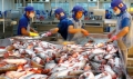 Chương trình giám sát cá da trơn: Việt Nam có thể khởi kiện Mỹ ra WTO?