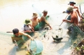 Huyện Ngọc Hiển: Triển vọng từ mô hình nuôi cá mú