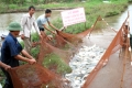 Phát triển mô hình nuôi cá truyền thống kết hợp nuôi cá hồ chứa cho hiệu quả kinh tế cao