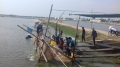 FSIS bắt đầu thanh tra cá da trơn NK từ 2/8
