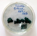 Sản xuất tảo xoắn Spirulina: Hướng đi mới của các địa phương ven biển