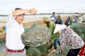 Mùa tôm ở Hoàng Mai