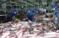 Mỹ lại tăng thuế chống bán phá giá cá tra Việt Nam