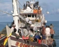 Thủy sản Cà Mau: kỳ vọng năm 2013