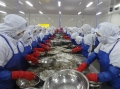 Xuất khẩu thủy sản khó đạt 7 tỷ USD