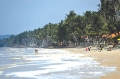 Hiện tượng “thủy triều đỏ” ở vùng biển Bình Thuận
