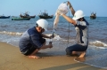 Thành lập Hội đồng cấp quốc gia tìm nguyên nhân hải sản chết tại các tỉnh miền Trung