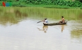 Lật thuyền, một dân chài mất tích trên sông Dinh